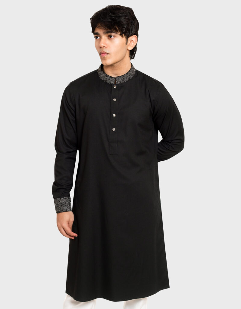 Premium Tencel Fabric Panjabi - Image 3