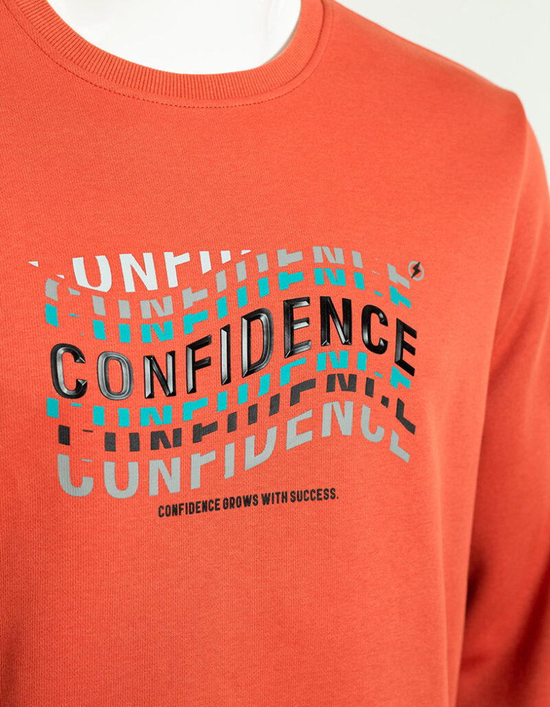 Men's Premium Sweatshirt - Image 2